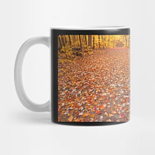 Golden Autumn Trail - Ricketts Glen Mug